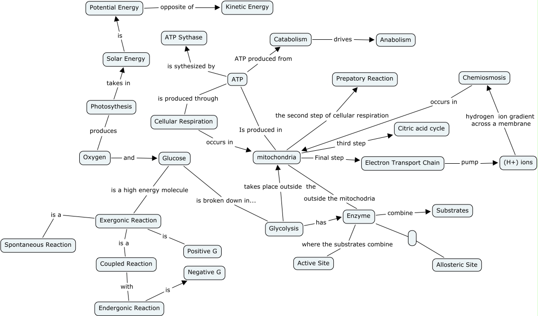 Photosythesis takes - researchinstruments.web.fc2.com